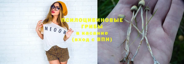ПСИЛОЦИБИНОВЫЕ ГРИБЫ Богородицк