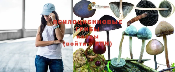 амфетамин Богородск
