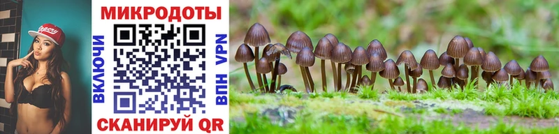 купить наркоту  Сыктывкар  Галлюциногенные грибы MAGIC MUSHROOMS 